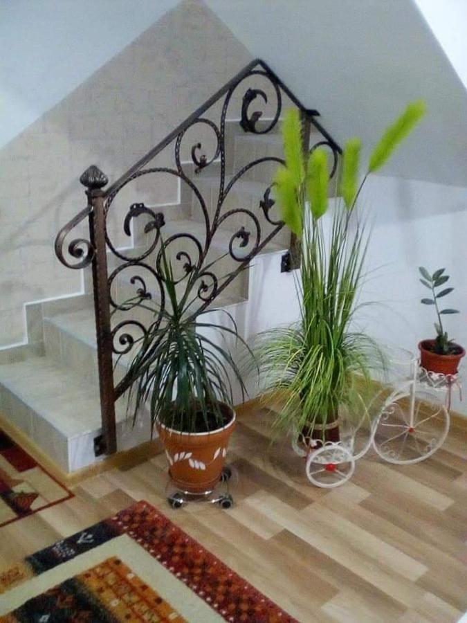 הוילה בוסטאני Vila Darian מראה חיצוני תמונה