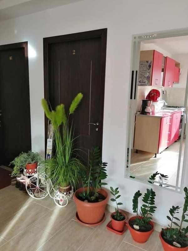 הוילה בוסטאני Vila Darian מראה חיצוני תמונה