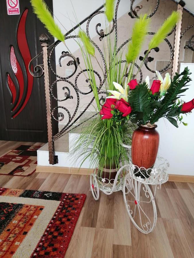 הוילה בוסטאני Vila Darian מראה חיצוני תמונה
